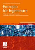 Entropie für Ingenieure: Erfolgreich das Entropie-Konzept bei energietechnischen Fragestellungen anwenden Heinz Herwig Author