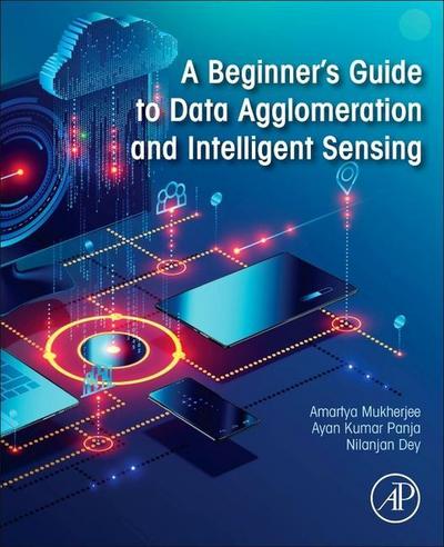 A Beginner’s Guide to Data Agglomeration and Intelligent Sensing