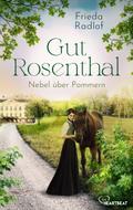 Gut Rosenthal - Nebel über Pommern