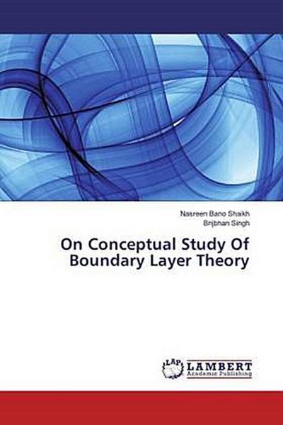 On Conceptual Study Of Boundary Layer Theory