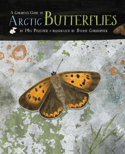 A Children’s Guide to Arctic Butterflies