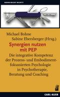 Synergien nutzen mit PEP