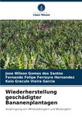 Wiederherstellung geschädigter Bananenplantagen