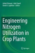 Engineering Nitrogen Utilization in Crop Plants
