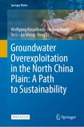 Groundwater overexploitation in the North China Pl