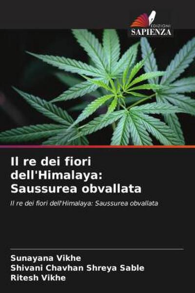 Il re dei fiori dell’Himalaya: Saussurea obvallata