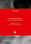 The Female Pelvis
