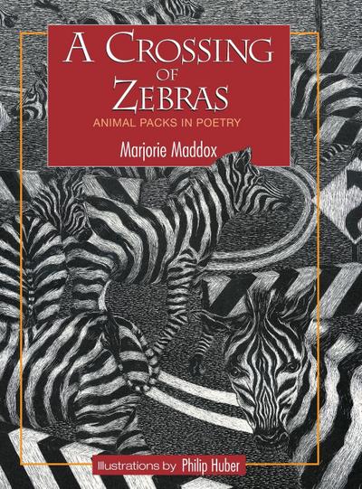 A Crossing of Zebras