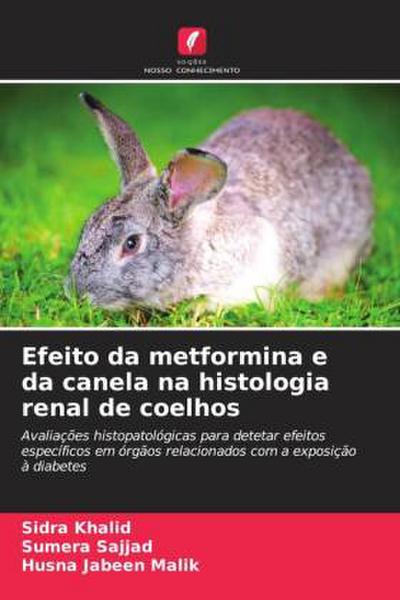 Efeito da metformina e da canela na histologia renal de coelhos