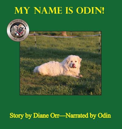 Orr, D: My Name is Odin