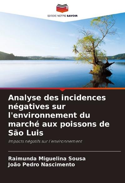 Analyse des incidences négatives sur l’environnement du marché aux poissons de São Luis