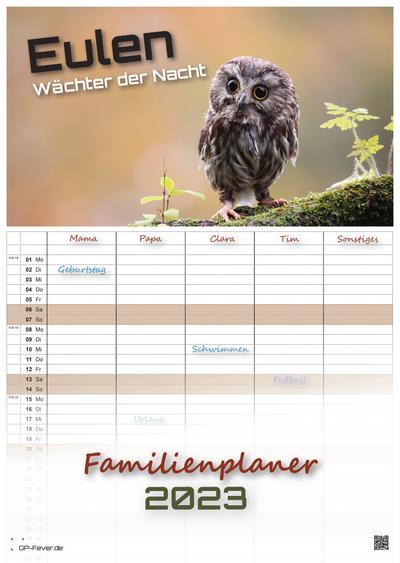 Eulen - Wächter der Nacht - 2023 - Kalender DIN A3 - (Familienplaner)