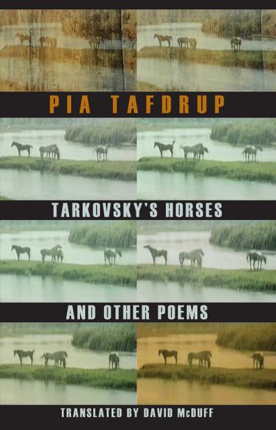 Tarkovsky’s Horses and other poems