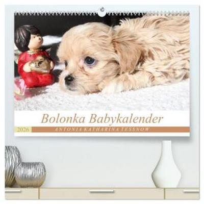 Bolonka Babykalender 2026 (hochwertiger Premium Wandkalender 2026 DIN A2 quer), Kunstdruck in Hochglanz