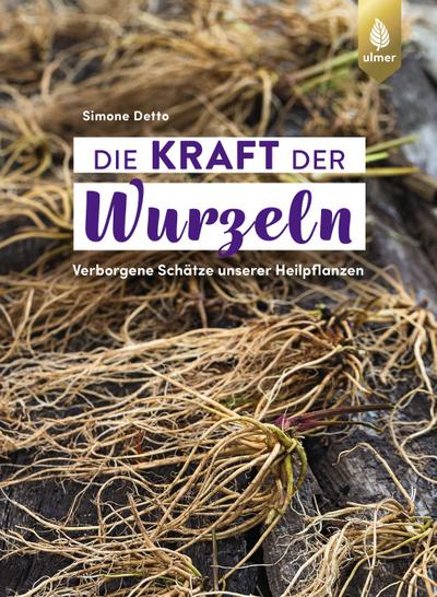 Die Kraft der Wurzeln