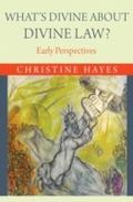 What’s Divine about Divine Law?