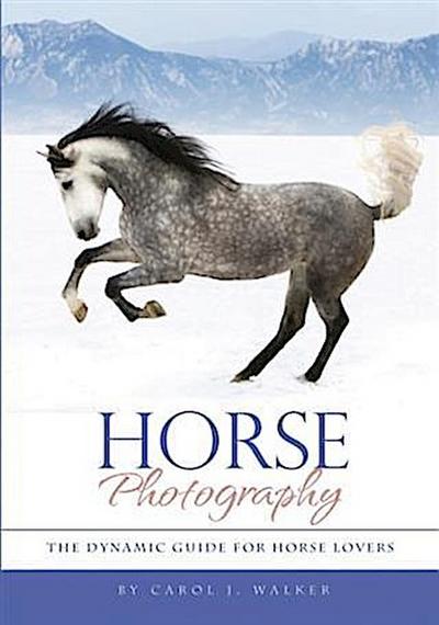 Horse Photography