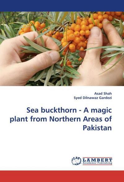 Sea buckthorn - A magic plant from Northern Areas of Pakistan