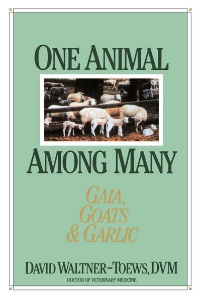 One Animal Among Many