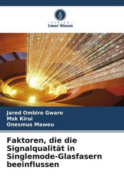 Faktoren, die die Signalqualität in Singlemode-Glasfasern beeinflussen