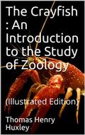 The Crayfish / An Introduction to the Study of Zoology. The International Scientific Series, Vol. XXVIII