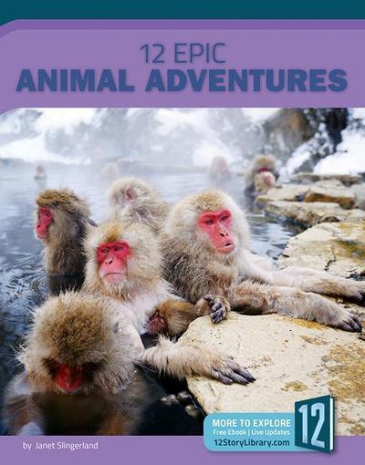 12 Epic Animal Adventures