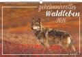 Geheimnisvolles Waldleben 2026 - Bildkalender 49,5x33 cm - Tiere und Pflanzen in unseren heimischen Wäldern - Wandkalender - Wandplaner - Tierkalender