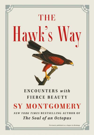 The Hawk’s Way