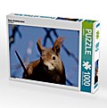 Rotes Eichhörnchen (Puzzle)