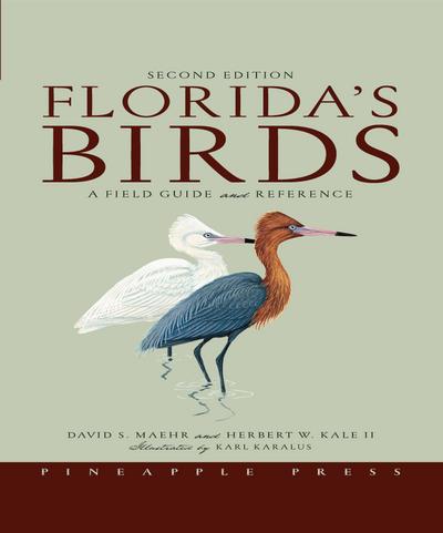Florida’s Birds