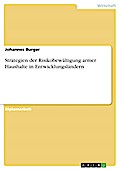 Strategien der Risikobewältigung armer Haushalte in Entwicklungsländern - Johannes Burger