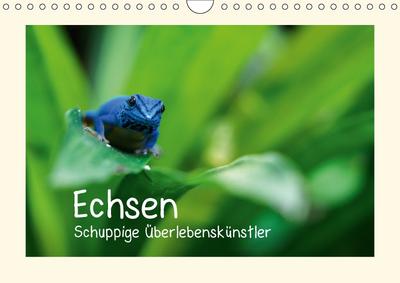 Echsen - Schuppige Überlebenskünstler (Wandkalender 2018 DIN A4 quer)