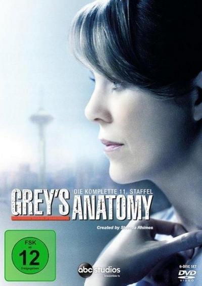 Grey’s Anatomy, Die jungen Ärzte. Staffel.11, 6 DVDs