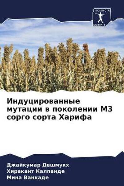 Inducirowannye mutacii w pokolenii M3 sorgo sorta Harifa