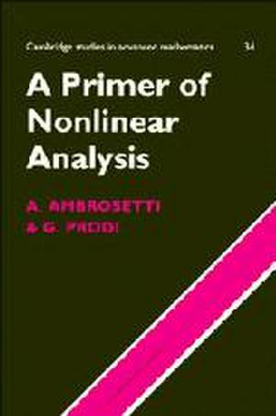 A Primer of Nonlinear Analysis