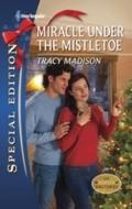 Miracle Under the Mistletoe (Mills & Boon Silh