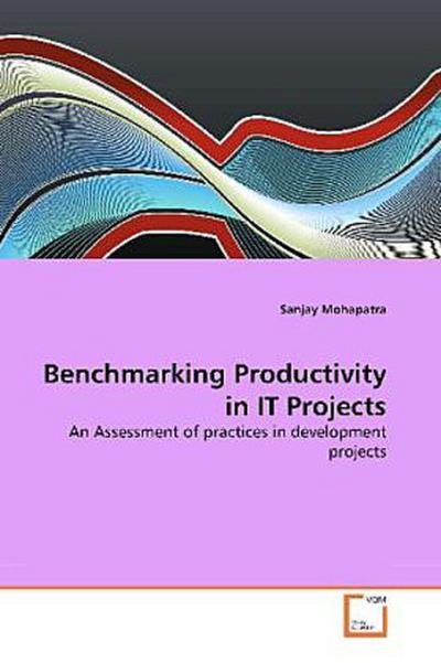 Benchmarking Productivity in IT Projects