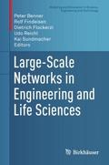 Large-Scale Networks in Engineering and Life Scien