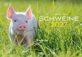 Schweine 2027