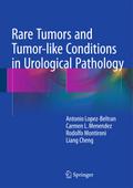 Rare Tumors and Tumor-like Conditions in Urologica