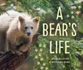 A Bear’s Life