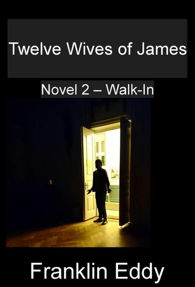 Twelve Wives of James (Walk-In, #2)