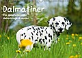 Dalmatiner - Ein immerwährender Geburtstags-Kalend