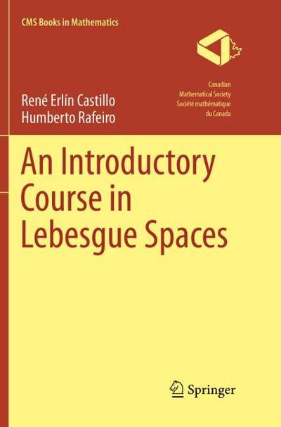 An Introductory Course in Lebesgue Spaces
