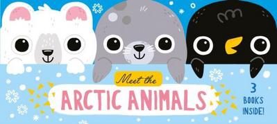 Meet the Arctic Animals