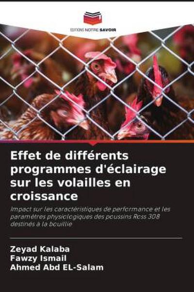 Effet de différents programmes d’éclairage sur les volailles en croissance