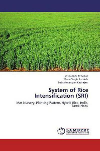 System of Rice Intensification (SRI)