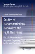 Studies of Nanoconstrictions, Nanowires and Fe3O4 Thin Films: Electrical Conduction and Magnetic Properties. Fabrication by Focused Electron/Ion Beam (Springer Theses)