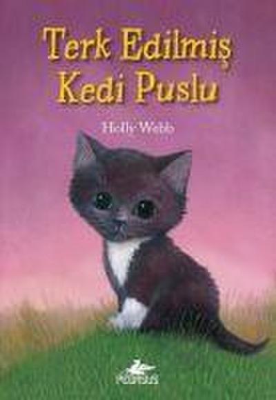 Terk Edilmis Kedi Puslu