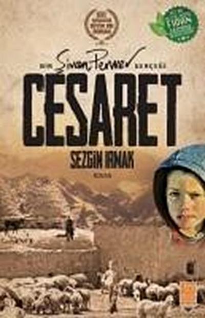 Irmak, S: Cesaret; Bir Sivan Perwer Gercegi